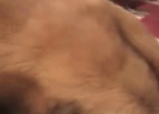 Fat whore fucked by her doggy
