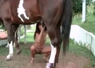 Skinny whore and brown stallion