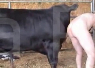 Filthy and perverted farm sex
