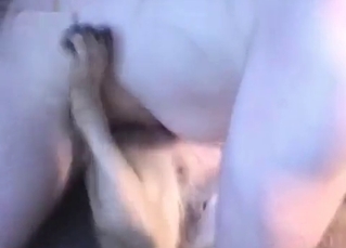 Dog does anal in the bedroom