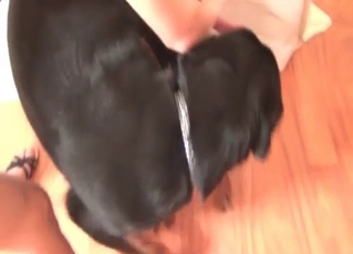 Doggy dick in her wet vagina