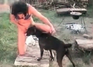 Outdoor zoophilic game with a dog