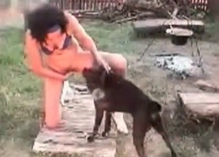 Outdoor zoophilic game with a dog