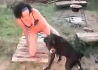 Outdoor zoophilic game with a dog