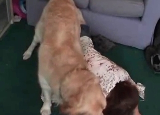 Zoofil fucked by her lovely puppy