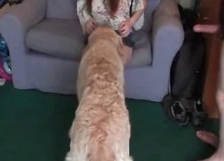 Zoofil fucked by her lovely puppy
