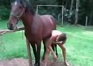 Brown stallion enjoys bestial sex