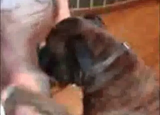 Filthy doggy pounds a dirty babe
