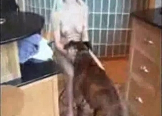 Filthy doggy pounds a dirty babe