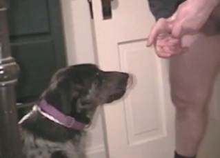 Black doggy gets a nice cumshot