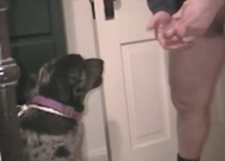 Black doggy gets a nice cumshot