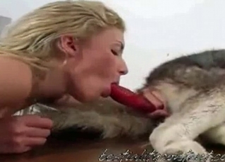 Husky gets an awesome blowjob