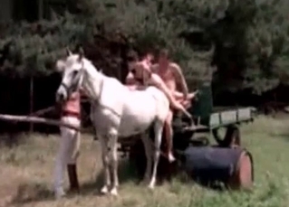 Farm horse fucked in the anal