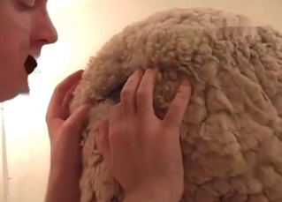 Kinky animal anus is being explored
