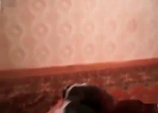 Milf is training her doggy