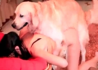 Sexy dog licks a wet vagina