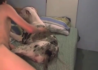 Impressive dog and horny zoofil