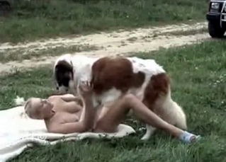 Busty babe loves outdoor bestiality