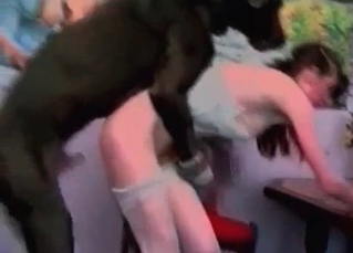 Doberman impales her wet vagina