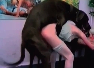 Doberman impales her wet vagina