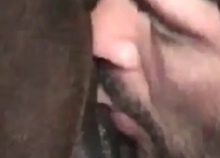 Zoophile rides a farm animal