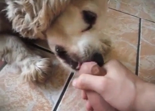 Stunning blowjob by a hairy doggy