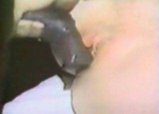 Hairy snatch fucked by a horse