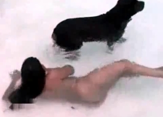 Black doggy and wet zoophile