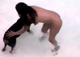 Black doggy and wet zoophile
