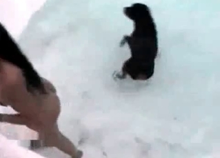 Black doggy and wet zoophile