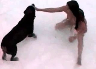 Black doggy and wet zoophile