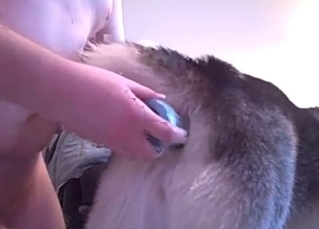 Banging my dog with a dildo