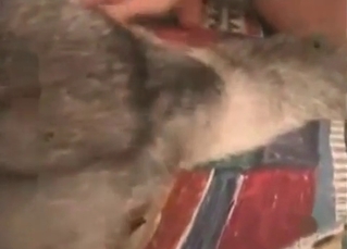 White doggy fucked by a dog fucker