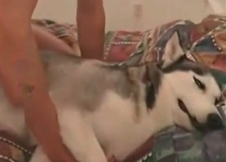 White doggy fucked by a dog fucker