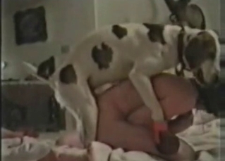 Beautiful doggy screws a whore