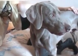 Blonde and small dick of a doggy