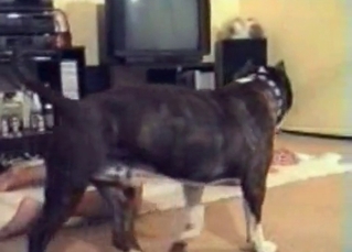 Blonde impales by her own dog