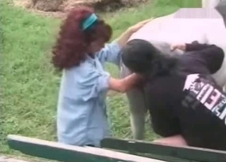 Zoofiles in the farm bestiality