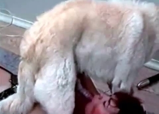 Dirty action with a sweet doggy