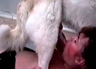 Dirty action with a sweet doggy