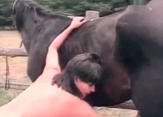 Black horse enjoys her hands