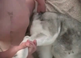 White dog fucked from behind