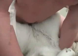White dog fucked from behind