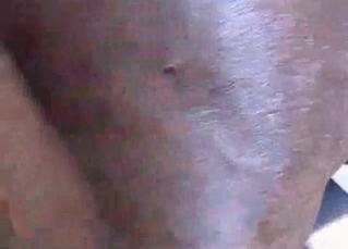 POV action with a stallion