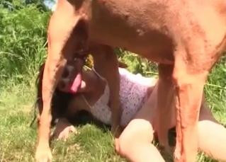 Outdoor blowjob for a puppy