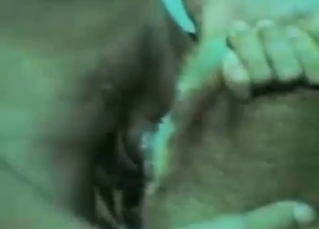 Puppy pounded by a massive dong