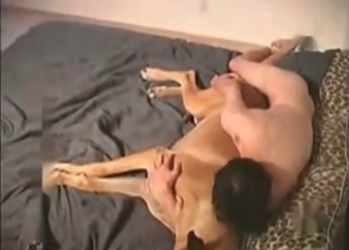 Dog is being fucked so passionate