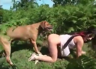 Cute dog impales her snatch