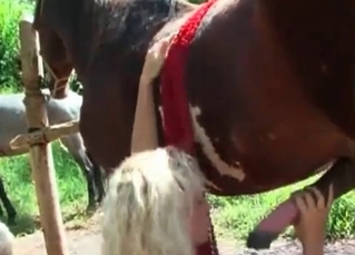 Muscled stallion sucked so hot
