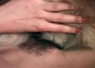 Small dog fucked in the anal hole